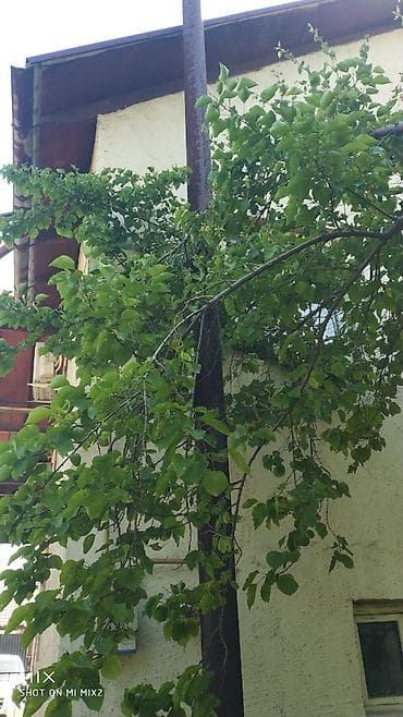 шпалы: Труба от печки - Прочная стальная труба установлена вертикально — 2