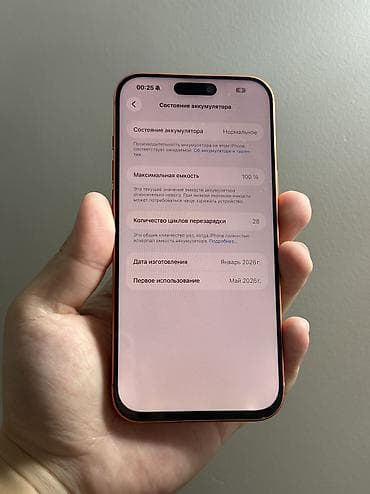 ipone 7: IPhone 17 Pro Max, 256 ГБ, 100 % — 6