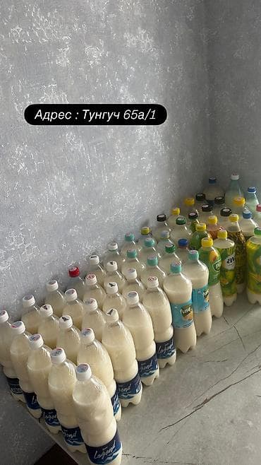 бармены: КЫМЫЗ САТЫЛАТ ТАЗА ЧАТКАЛДЫН КЫМЫЗЫ ДААМЫ ОТО СОНУН БААСЫ 300с — 2