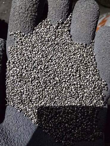 печь для отопления дома бишкек: Уруктар тоют өсүмдүктөрүнүн: Эспарцет, Өзү алып кетүү, Акылуу жеткирүү — 4