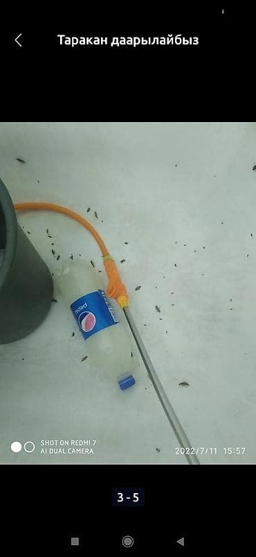 мойка ковров ак орго: Дезинфекция дезинфекция дезинфекция дезинфекция дезинфекция Таракан — 3