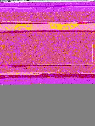 ыссык куле: Сатам | Козу, Кочкор (эркек) | Арашан | Союуга, Көбөйтүү үчүн, Жүн үчүн | Токту — 10