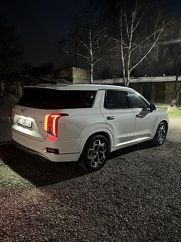 корейский опалобки: Hyundai Palisade: 2020 г., 2.2 л, Автомат, Дизель, Внедорожник — 9