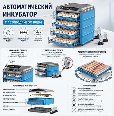 магазинный холодильник: 🔥 Умные инкубаторы нового поколения 🔥 ✅ Вместимость от 6 до 500 яиц ✅ — 2