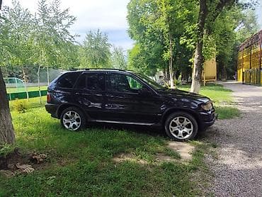 BMW: BMW X5: 2003 г., 3 л, Автомат, Дизель, Кроссовер — 5