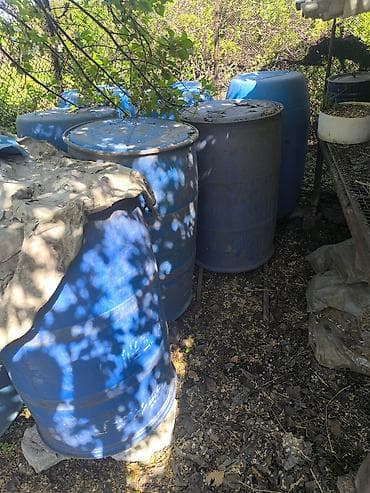 1000 литр: Бочка Пластик, 200 л, Самовывоз — 1