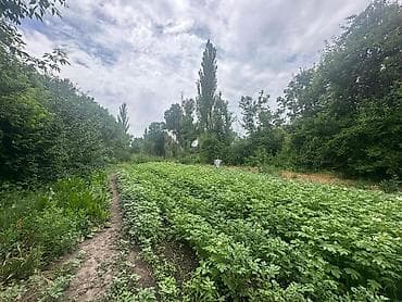 Кыймылсыз мүлк: ПРОДАЮ!!! жилой дом в селе Петровка. Продаю дом в селе Петровка по — 5