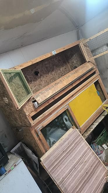 Клетка/брудер для мелкой птицы или грызунов (многоярусная, из ОСБ и at lalafo.kg Клетка/брудер для мелкой птицы или грызунов (многоярусная, из ОСБ и