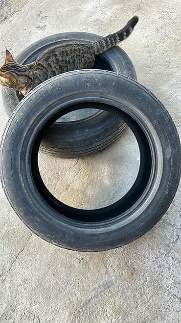 mazda primacy: Пара автомобильных шин 215/55 R17 Особенности: - Размер: 215/55 R17 - — 1