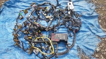 4jx1: Isuzu Trooper Проводка двигателя большая, Исузу Трупер электропроводка — 1