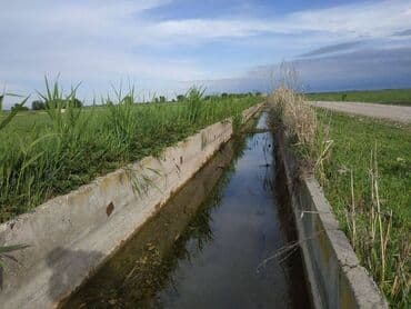 продаю дом бишкек сокулук: 500 соток, Айыл чарба үчүн, Кызыл китеп — 2