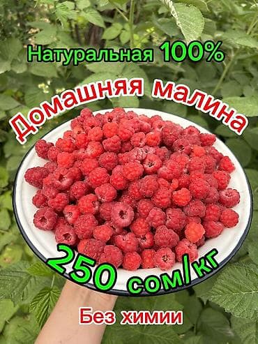 ягоды бишкек: Малина В розницу, Самовывоз, Платная доставка — 1