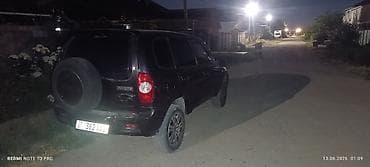 Транспорт: Chevrolet Niva: 2006 г., Внедорожник — 6