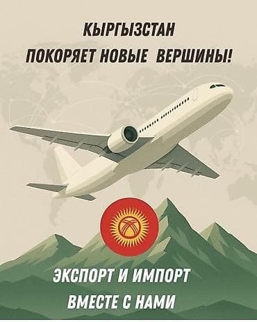 карго цена за кг турция кыргызстан: Авиалогистика: экспорт и импорт в Кыргызстан - Организация — 1