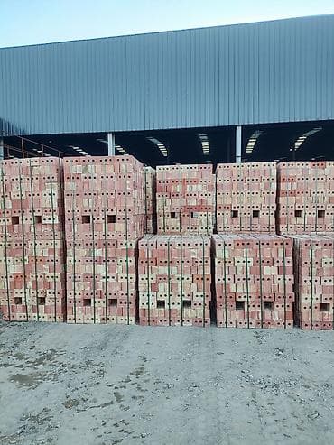 Пустотелый, дырчатый, Жженый кирпич, Одинарный, 250×120×65