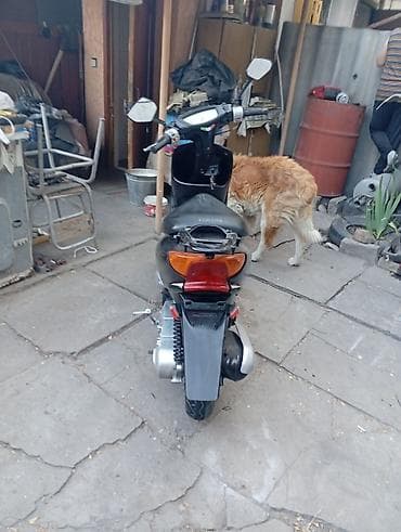 dio af27: Тип скутера Yamaha, 50 куб. см, Бензин — 4
