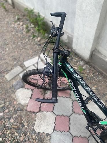 Спорт жана хобби: Тоо велосипеди, Болот — 3