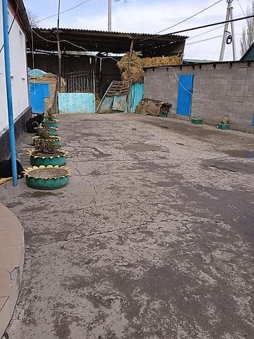 бишкек продаю дом село дордой 2: Үй, 100 м², 4 бөлмө — 1