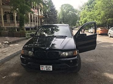 накладки на глушитель: BMW X5: 2001 г., 4.4 л, Автомат, Газ, Внедорожник — 2