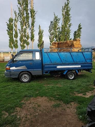 thermo king: Легкий грузовик, Hyundai — 1