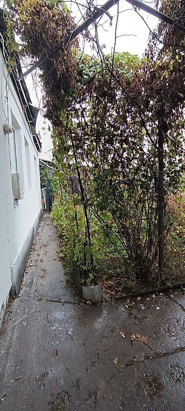 дом каинда: Дом, 85 м², 5 комнат, Агентство недвижимости, Косметический ремонт — 3