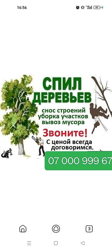 пересадка дерева: Уборка территории, Уход за деревьями — 2