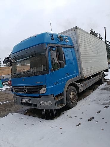 питака чехлы: Грузовик, Mercedes-Benz, Стандарт, Б/у — 2