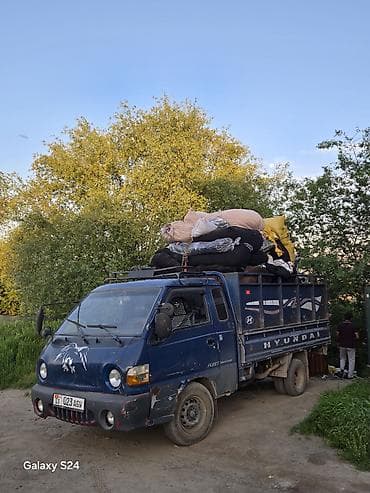 hyundai porter сандык: Грузоперевозки на малотоннажном грузовике Hyundai - Тип авто — 1