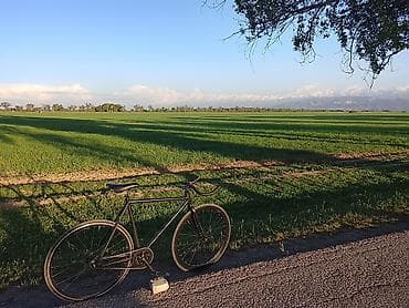 lada priora: Продаётся фикс - Рама: стальная, классическая геометрия трек/фикс — 1