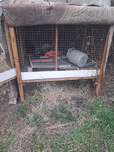 домашние куры: Защитные сетки от птиц — 2