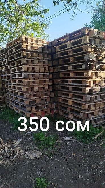 европаллеты: Продаю поддоны размер 120х80 120х100 количество имеется у нас есть — 2
