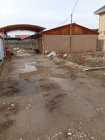 fred perry: 5 соток, Для бизнеса — 10