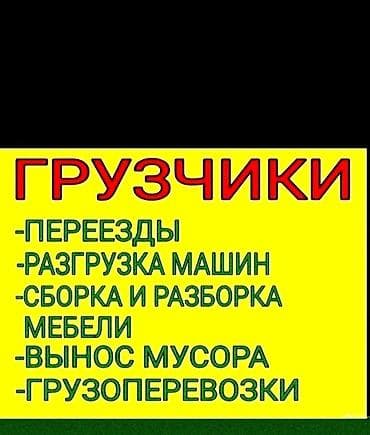Административный персонал: Услуги грузчиков - Квартирные и офисные переезды - Разгрузка/погрузка — 1