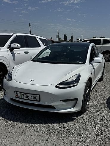 Продажа авто: Tesla Model 3: 2020 г., Вариатор, Электромобиль, Фастбек — 1