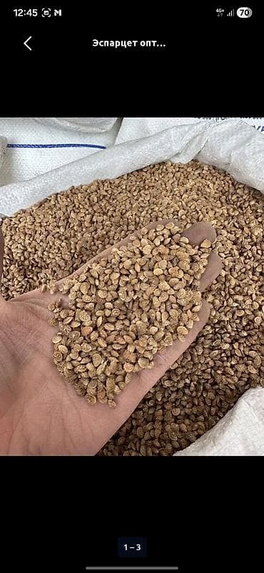 Семена эспарцета (онобрихи) для посева - Культура: эспарцет