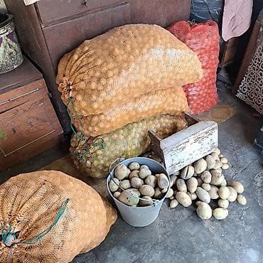 мешки для лук: Грецкие орехи в сетчатых мешках цена договорная срочно !!! - Цельные — 3