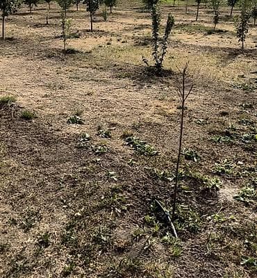 для капельницы: Установка/Монтаж капельного полива для сада/огорода/полей Что — 3