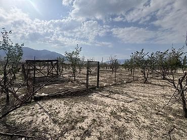 сдаю дом лебединовка: 5 соток, Красная книга — 5