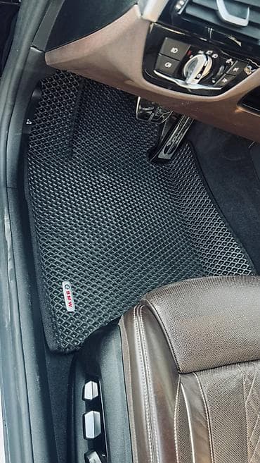 auris: Полики — 5