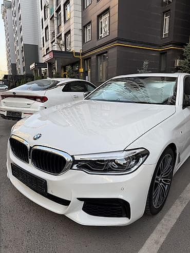 BMW 5 series: 2019 г., 2 л, Автомат, Бензин, Седан — 1