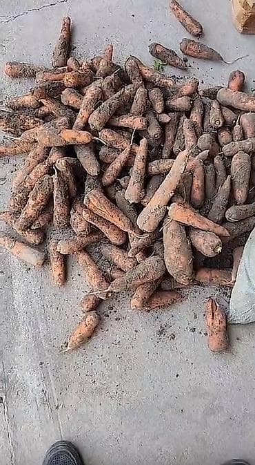 Морковь В розницу, Самовывоз