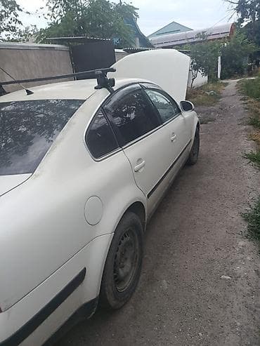pasat: Volkswagen Passat: 2004 г., 1.9 л, Механика, Дизель, Седан — 1