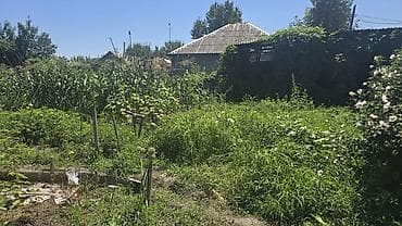участок бишкека: 4 соток — 1