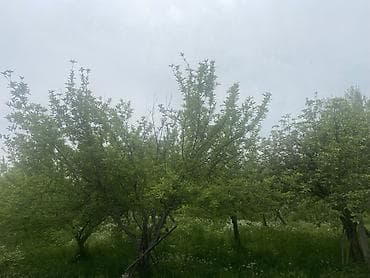 Кыймылсыз мүлк: 6 соток, Курулуш — 9