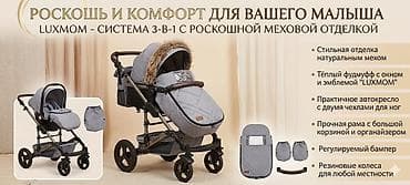 Коляска, Другой бренд, цвет - Серебристый, Б/у, Платная доставка