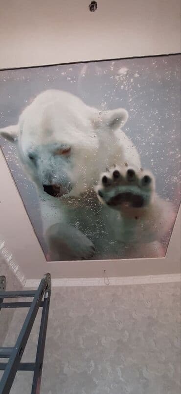 офисный кресло цена: Керме шыптар Жылтырак, Жылтырабаган, 3D потолоктор Кепилдиги, Акысыз консультация, Акысыз ченөө — 11