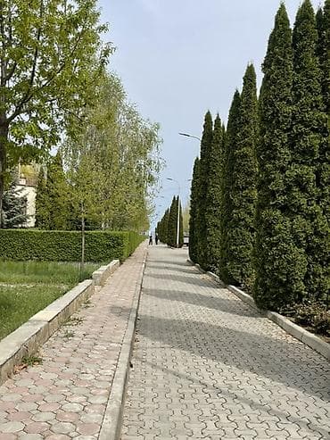 делаю справки: Коттедж, Кейсар, Чолпон-Ата — 6