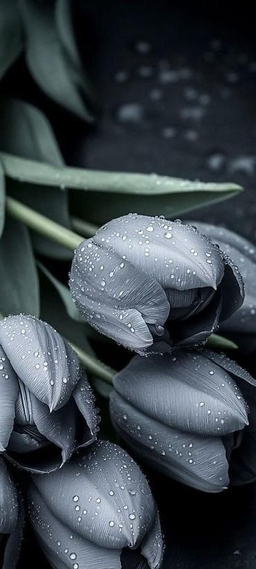 мала семейка квартира: 2 комнаты, Собственник — 1