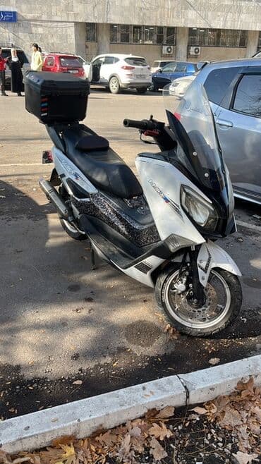 Скутер/максискутер с ветровым стеклом и кофром - Кузов: спортивный