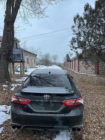 camry 2000: Toyota Camry: 2020 г., 2.5 л, Автомат, Бензин, Седан — 3